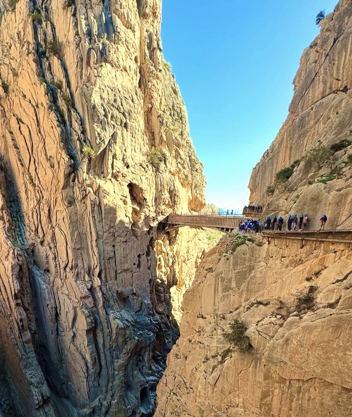Caminito del Rey da Ardales, tour guidato
